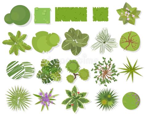 A Set Of Treetop Symbols, For Architectural Or Landscape Design Stock Vector - Illustration of ...