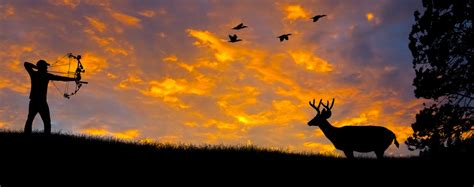 Tips for Bow Hunting Deer | Tectonic USA