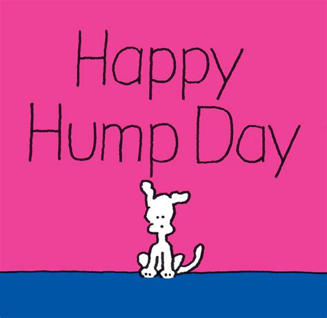 Wednesday Hump Day GIF by Chippy the Dog - Find & Share on GIPHY