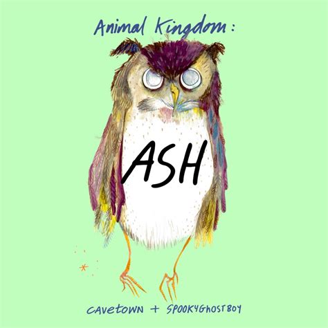 Cavetown - Animal Kingdom: Ash - Reviews - Album of The Year