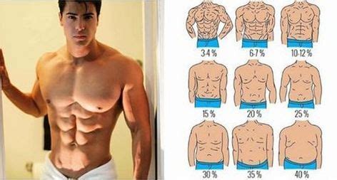 Bmi For Your Abs To Show - Aljism Blog