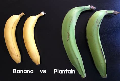 All About Plantains - SAS Life