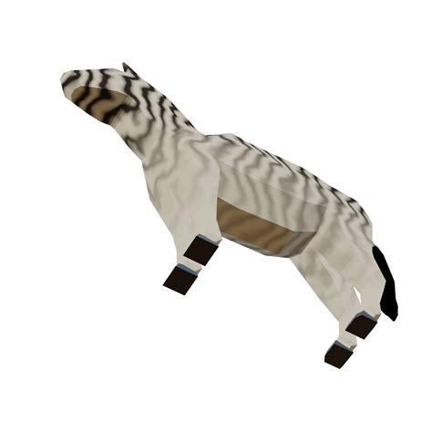 Free 3D Zebra - TurboSquid 1643343