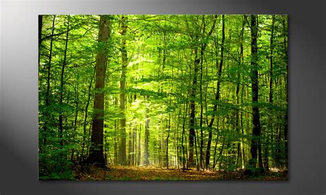 Canvas print Into the Forest - Paintings XXL