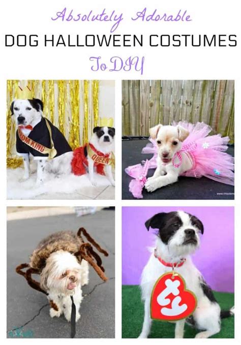 Adorable Dog Halloween Costumes To DIY That Are Budget-Friendly