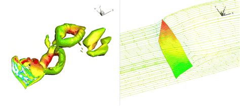 New 3D bat wing model could inspire next generation aircraft