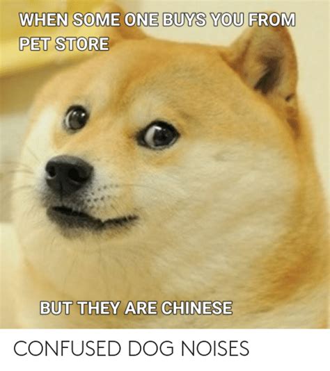 CONFUSED DOG NOISES | Confused Meme on ME.ME