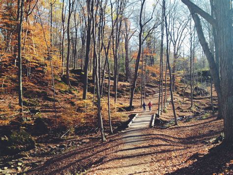 Fall Hike | full on joy | Fall hiking, Walk in the woods, Day trips