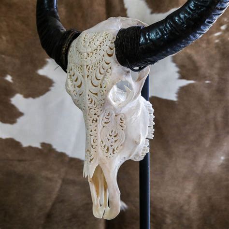 BUFFALO SKULL | Authentic Tribal Carving | Novum Crafts – Indian ...