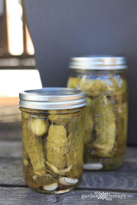 The Best Ever Deli-Style Sour Pickles Recipe. Ever. Seriously. - Garden ...