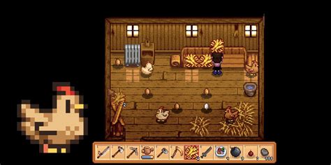 How To Feed Chickens In Stardew Valley