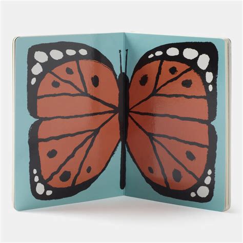 This Is Not A Book | Childrens Books | Store | Phaidon