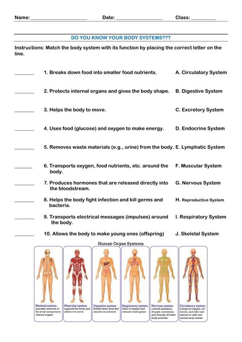 School Health, Health Class, Health Lessons, Science Lessons, Health Science, Life Science, 7th ...