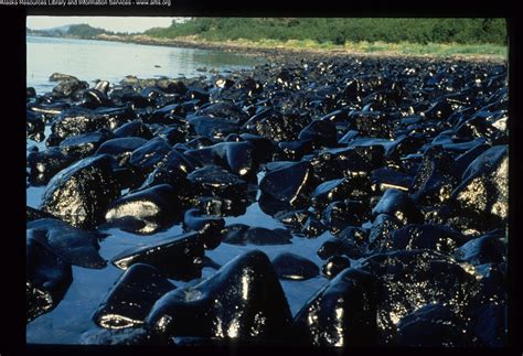 Remember Exxon Valdez Oil Spill March 24, 1989 - Frontier Scientists