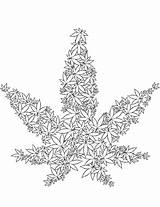 Cannabis coloring page  Free Printable Coloring Pages sketch template