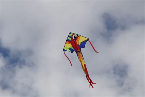 Free Images : sky, wind, fly, autumn, toy, toys, dragons, kites rise ...