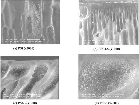 SciELO - Brasil - Effects of Methylcellulose on the Properties and Morphology of Polysulfone ...