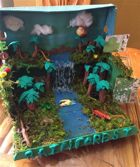 Ecosystems projects, Habitats projects, Rainforest project