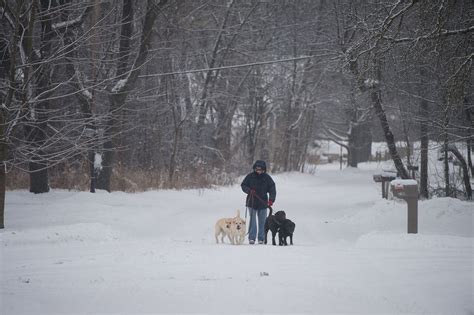 Winter storm update: 9-12 inches of snow to fall on Ann Arbor Sunday ...