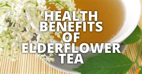 11 Potential Health Benefits Of Elderflower Tea