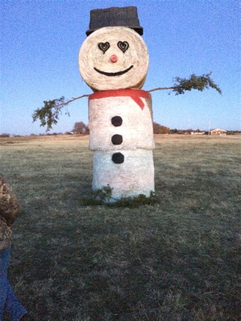 10 Best images about Hay bale art on Pinterest | Halloween art ...