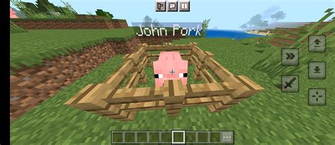 John Pork : r/PhoenixSC