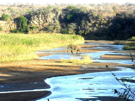 Umfolozi Game Reserve - if you're ever thinking of going on safari I would definitely suggest ...