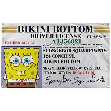 10 Best Spongebob Driver License 2024. My experience & Review.