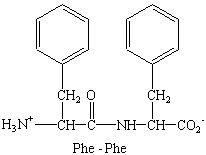 Proteins