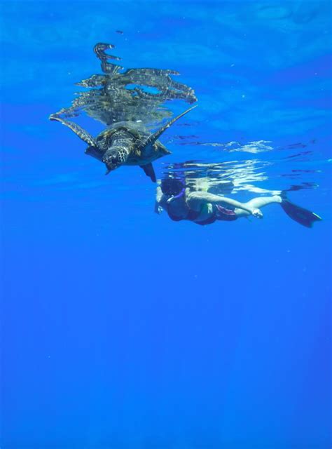 Snorkeling at Kaanapali Beach in Maui Hawaii