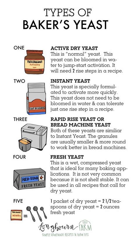 Types of Baker's Yeast | Bakers yeast, Cooking substitutions, Baking substitutes