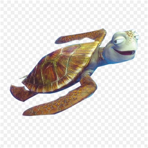 Sea Turtle Crush Finding Nemo Clip Art, PNG, 1773x1773px, Turtle, Animation, Clownfish, Crush ...