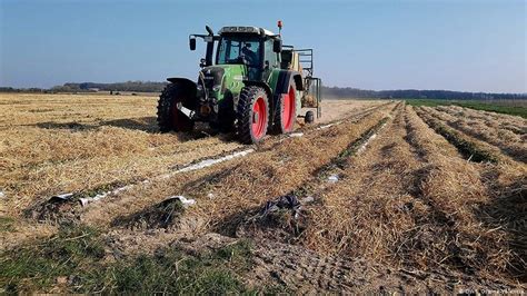 Germany to allow asylum seekers to work in agriculture until October - InfoMigrants