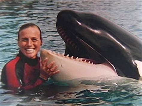 SeaWorld takes stand against whale documentary - TODAY.com