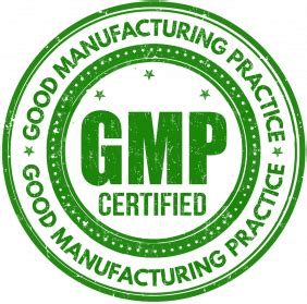 Certified GMP Logo PNG Transparent Image