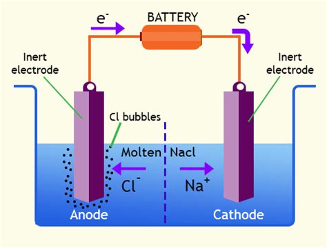 Electrolytic cell vs galvanic cell | Science online