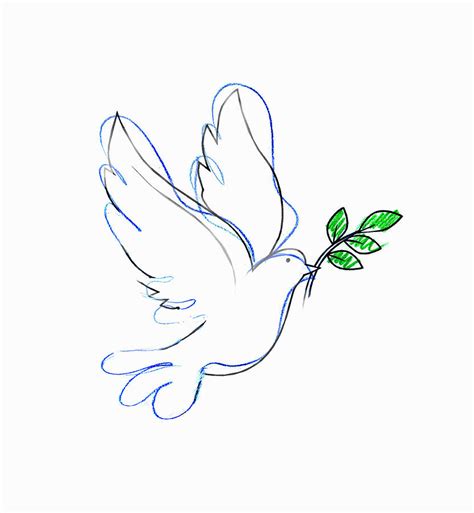 Drawing Of Dove Carrying Olive Branch by Gary Waters