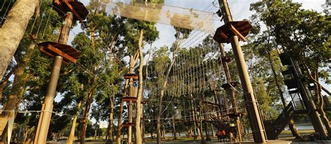 MAP OF THE COURSE - Forest Adventure Singapore’s first and only Treetop obstacle course.