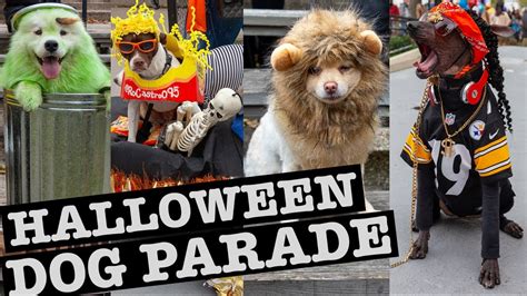 Halloween Dog Parade NYC & Dog-Friendly Spots - YouTube