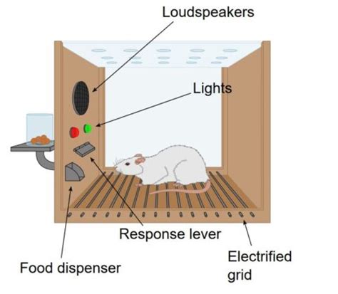 Operant Conditioning, Marketing and Consumer Behavior: (Part 1 ...