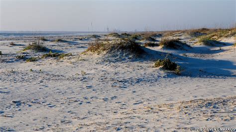 Cumberland Island National Seashore | SEA CAMP BEACH