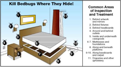 BED BUGS - HOW TO IDENTIFY A BED BUGS INFESTATION - Milberger Pest Control