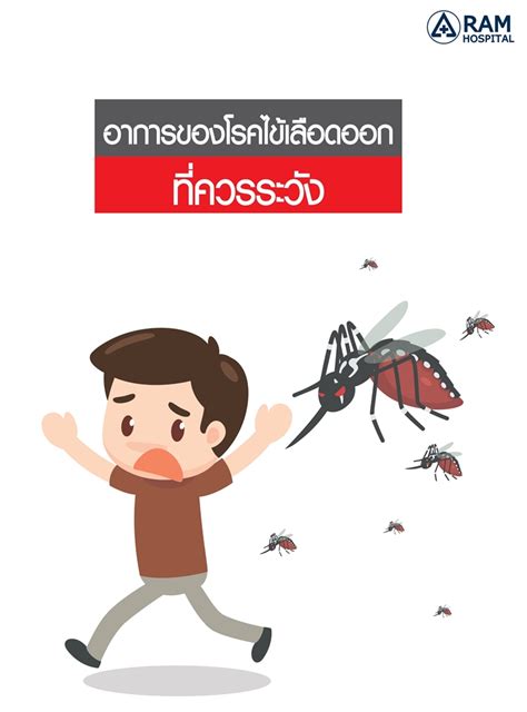 Dengue Fever: Symptoms, Transmission, and Prevention - World Today News