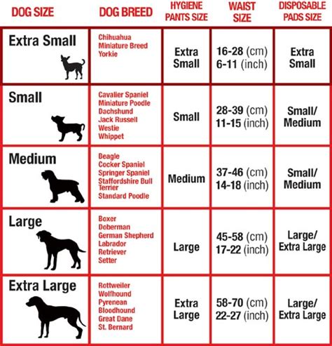 Big, Medium & Small Dog Breeds by Size & Personality √ Dog Size Chart ...