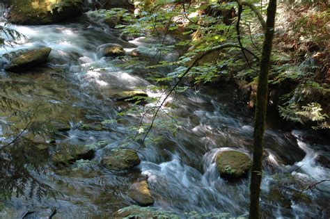 Life On Water: Whatcom Falls Park walk