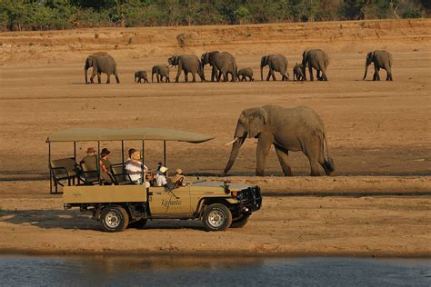 Absolute Zambia Safaris - Zambia Tourism