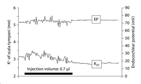 Perilymph K + changes as a function of volume injected into the... | Download Scientific Diagram