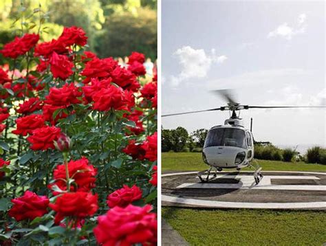 Chopper Ride at Chandigarh's Rose Festival 2018 Confirmed. More Details ...