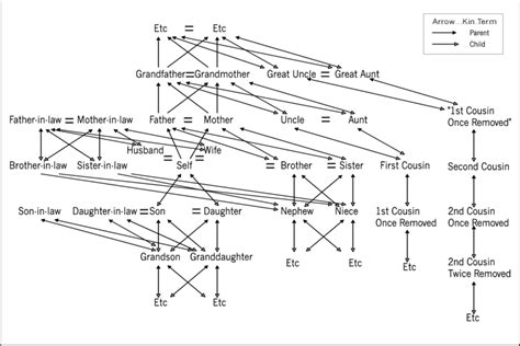 Kin term map for the American Kinship Terminology. Upward arrows... | Download Scientific Diagram