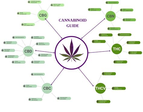 Cannabinoid Guide Infographic - MOSCA SEEDS